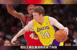 开云体育中国-夏洛特黄蜂队新网签内线球员加盟