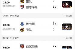开云体育APP下载-狼队在客场击败桑德兰，赢得新赛季首胜的简单介绍