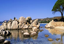 开云体育下载-比利时完胜曼联，罗德里状态火热